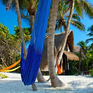  Lodge Playa Selva Mexico